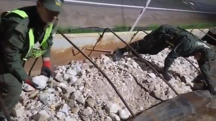 Frenaron un cargamento sospechoso y el tráfico de fauna antes de su paso hacia San Juan