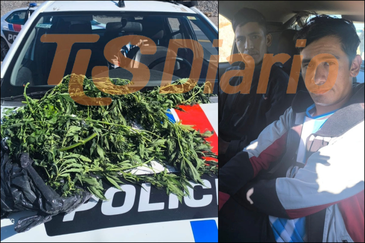 Huyeron de la Policía, los alcanzaron y llevaban plantas de marihuana en la mochila