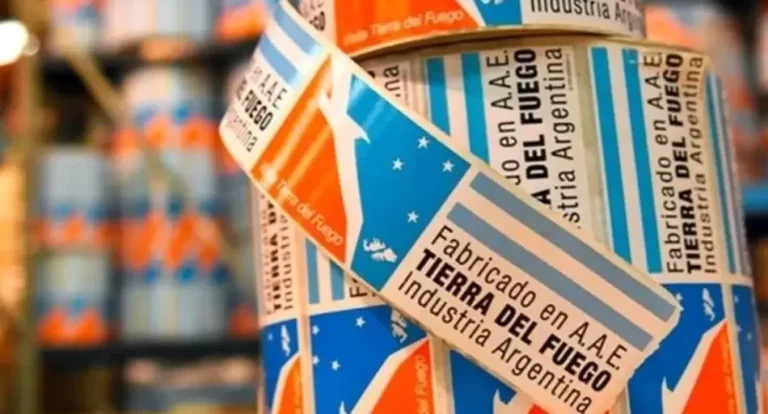 Tierra del Fuego y el dilema de la política industrial argentina