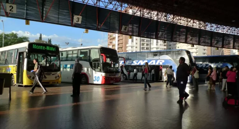 El Gobierno elimina pagos a empresas por los pasajes gratis en micros para personas con discapacidad