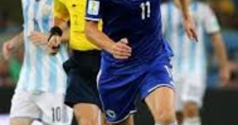 Los jugadores de Bosnia que estuvieron ante Argentina en 2014 y jugarán el Mundial