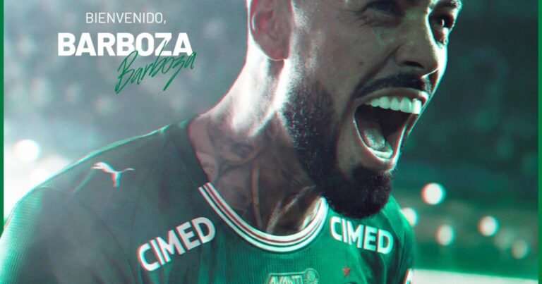 Palmeiras volvió a romper el mercado en el Brasileirao: fichó a Alexander Barboza, campeón de la Libertadores con el Botafogo