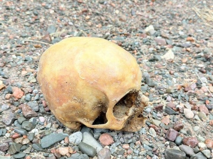El cráneo hallado en el Punta Negra es de una mujer y su muerte data de fecha reciente: detalles