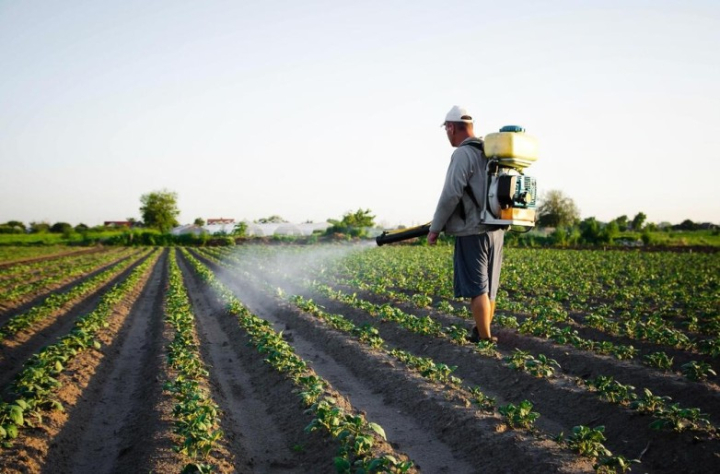 San Juan habilita créditos para comprar agroquímicos en Punto Pyme