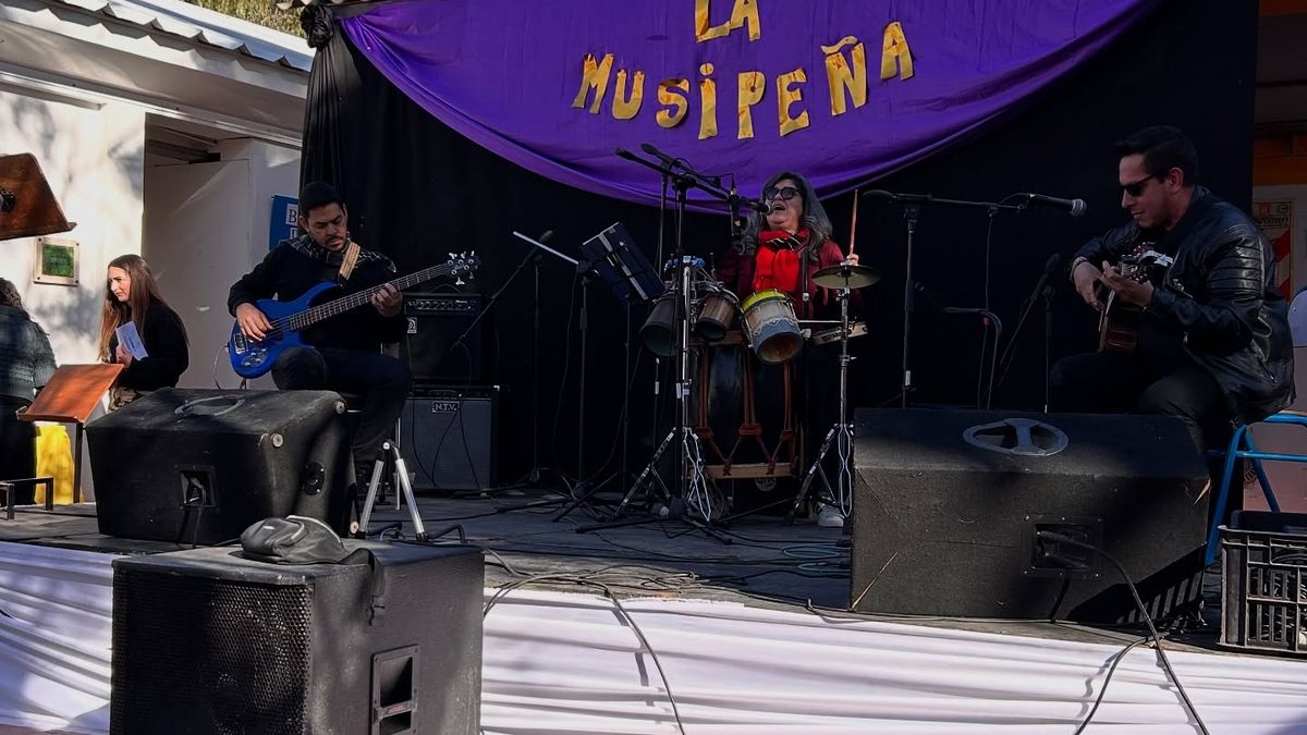 La Escuela de Música de la UNSJ realizará una peña solidaria para financiar la cátedra de Folklore