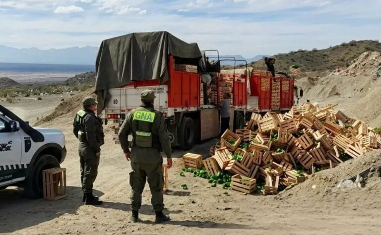 Decomisan pimientos sin tratamiento cuarentenario en controles entre Valle Fértil y Jáchal