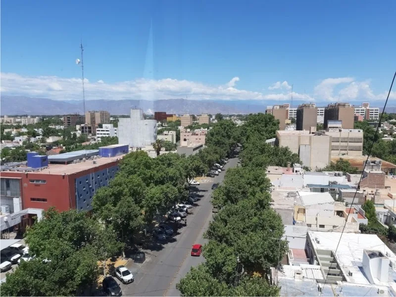 San Juan verde: el desafío y la importancia de cuidar el arbolado urbano