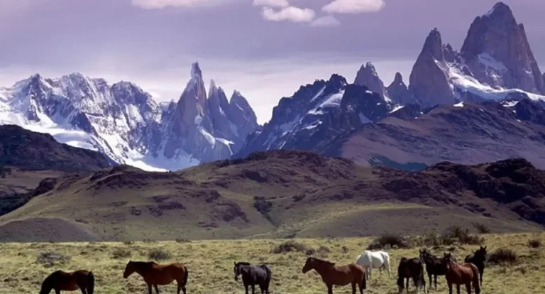 Vaca Muerta y mucho frío: el combo perfecto que despierta el interés de las empresas tecnológicas por la Patagonia