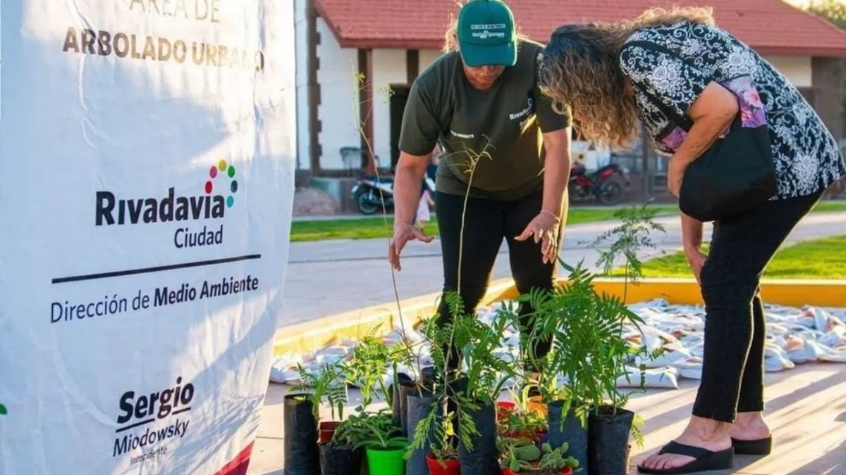 Hay ecocanje en Rivadavia: qué llevar para recibir un árbol