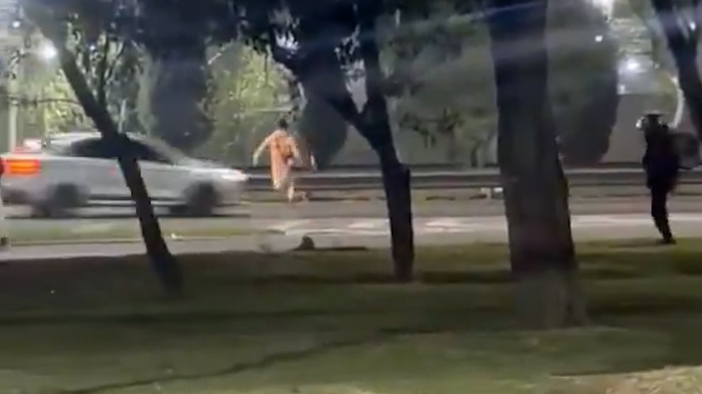 Video: un presunto ladrón de 13 años fue atropellado al huir por una autopista de Mendoza