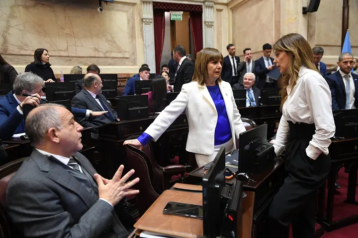 El oficialismo en el Senado no pudo dictaminar el Súper RIGI