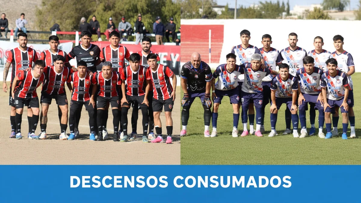 Zondina y Defensores descendieron y Zonda se quedó sin representantes en Primera