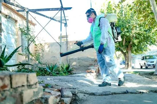 La Ciudad avanza con tareas de desinsectación y desratización en distintos sectores