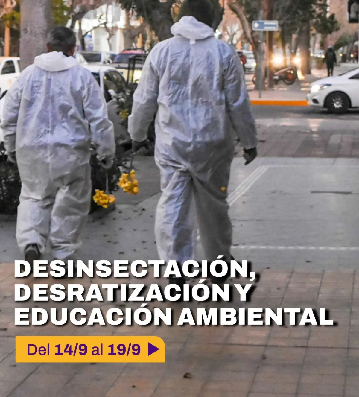 La Ciudad continúa con el cronograma de desinsectación y desratización