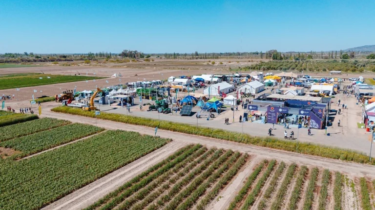 Banco San Juan desembarca en Expo Innova Cuyo con soluciones financieras y su nueva línea de Leasing Sustentable