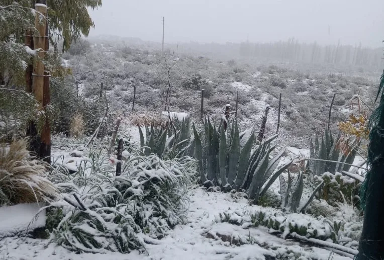 San Juan amaneció bajo cero y la nieve pintó de blanco distintos paisajes de la provincia