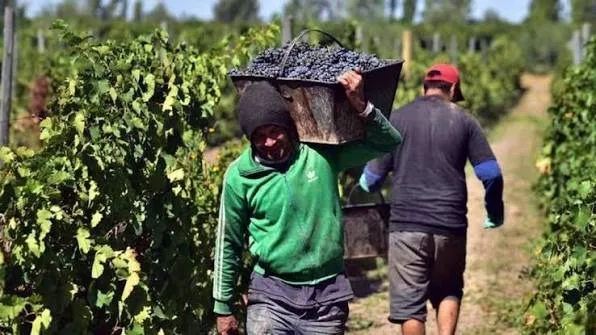Trabajadores vitivinícolas cerraron la paritaria: cuánto aumentan los sueldos hasta febrero