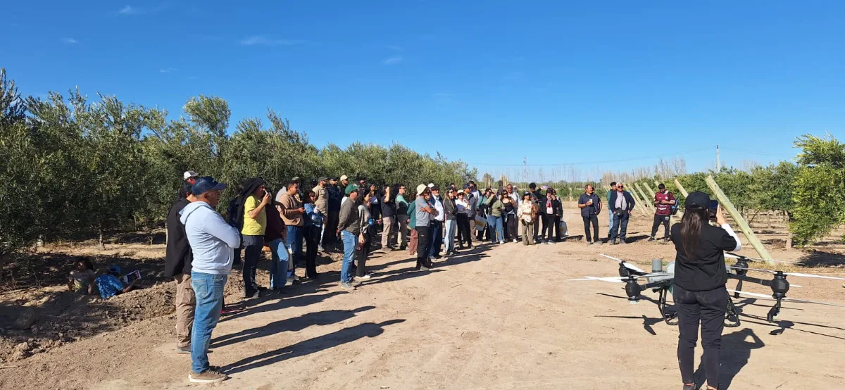 100 empresas de distintas provincias se sumaron a la Jornada a Campo de ArgOliva