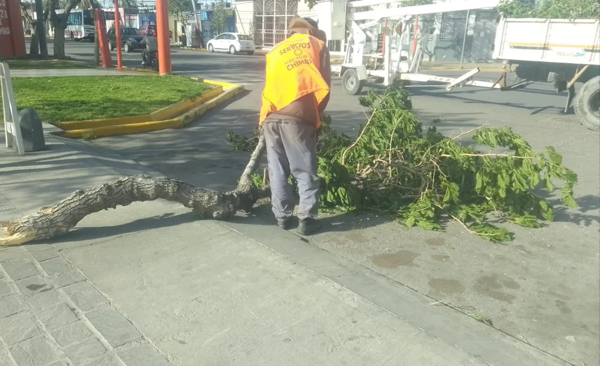 Chimbas desplegó personal de Servicios por las consecuencias del viento Zonda