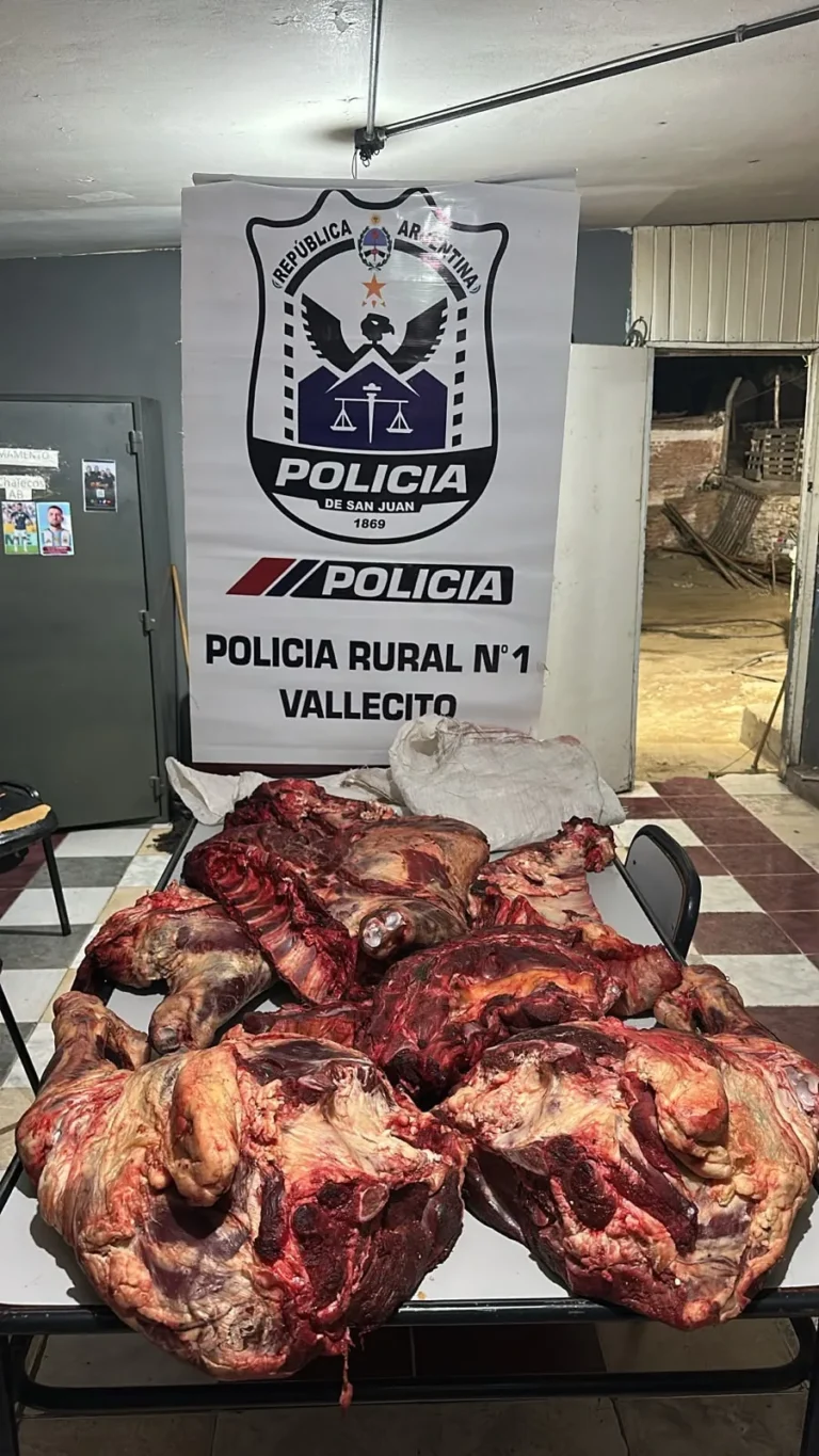 Lo detuvieron en Vallecito y llevaba 80 kilos de carne sin cadena de frío