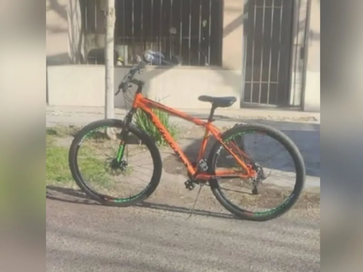 Asaltaron a un niño de 12 años a punta de pistola y le robaron su bicicleta en Concepción