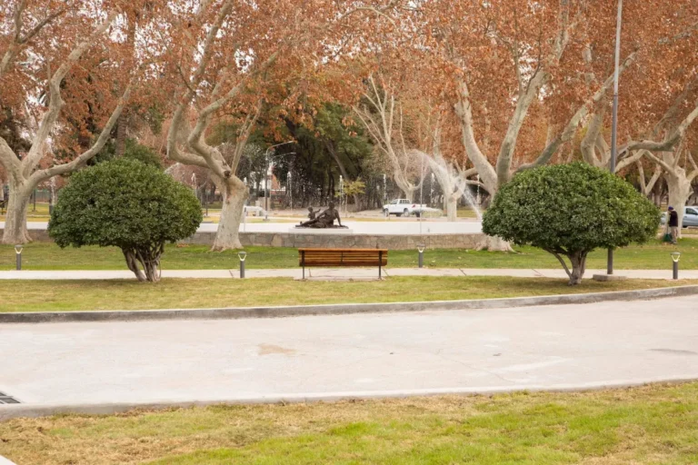 Lunes frío por la mañana y con una máxima de 17 grados