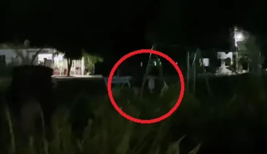 Vieron a una nena sola en una plaza, la siguieron y desapareció de golpe: “Casi me infarto”