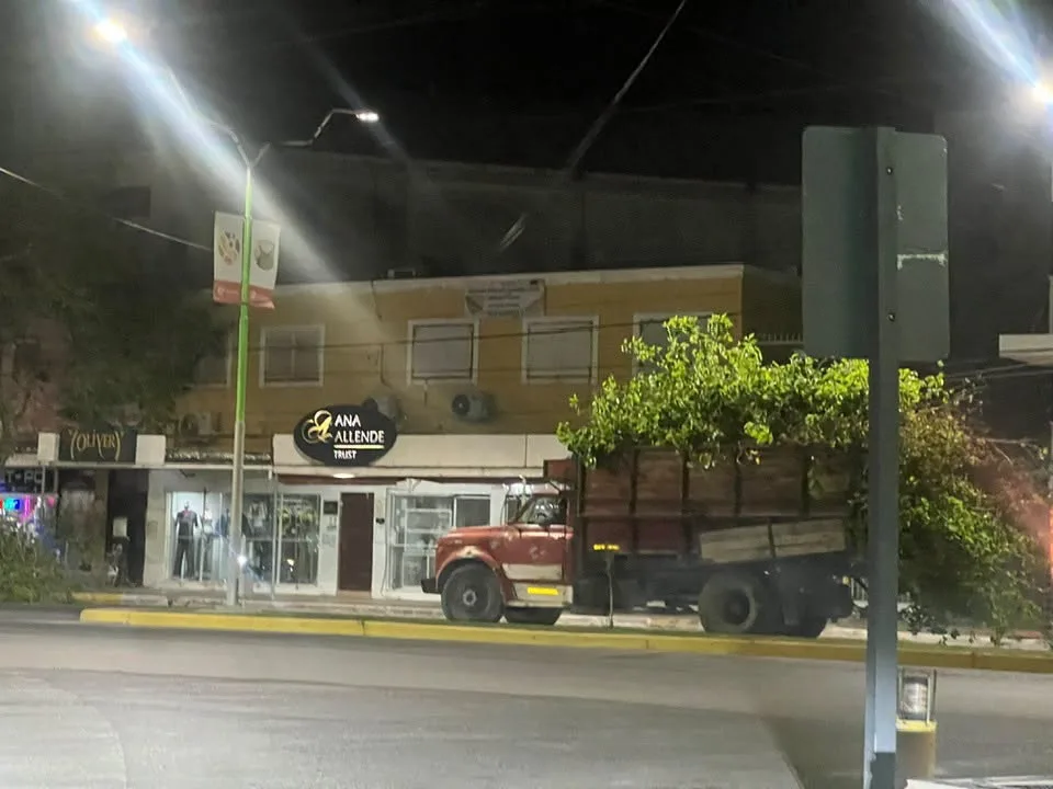 Polémica en Caucete: el municipio podó árboles fuera del período permitido por ordenanza