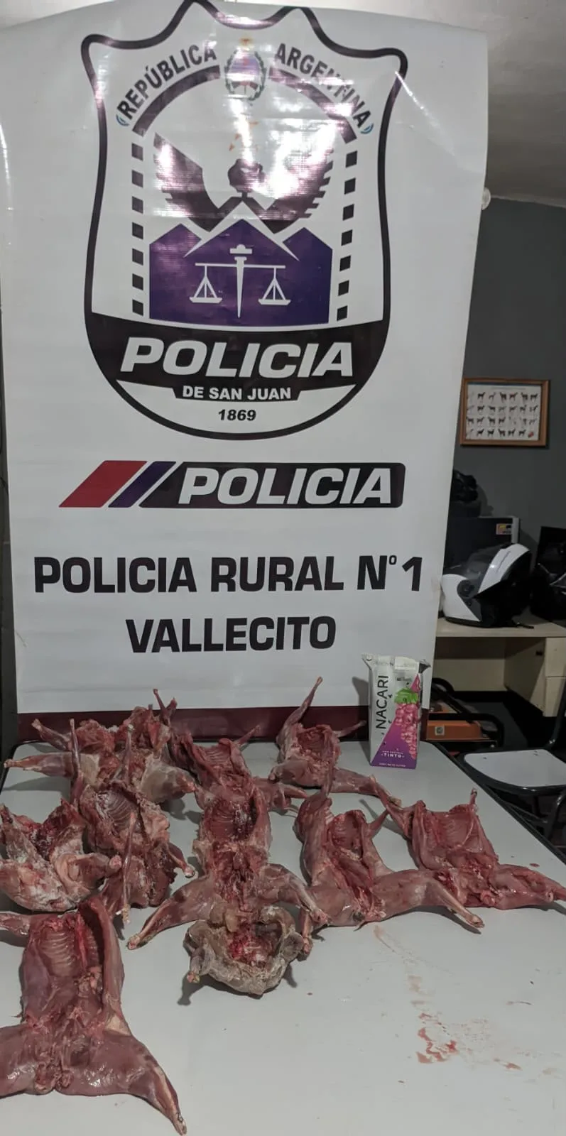 Cazaban en San Juan y los descubrieron con liebres, vizcachas y un ave protegida