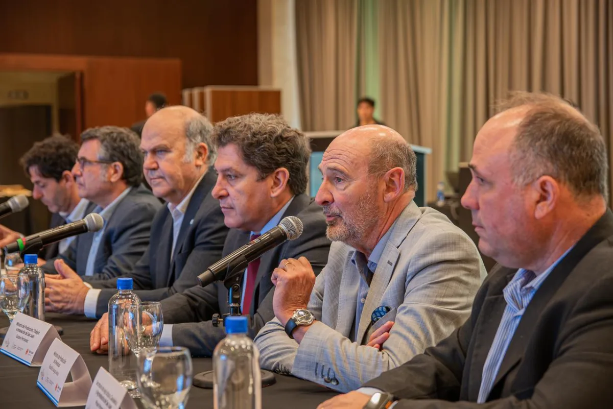 San Juan fue sede de una nueva Mesa Olivícola Nacional, en el marco de ArgOliva 2026