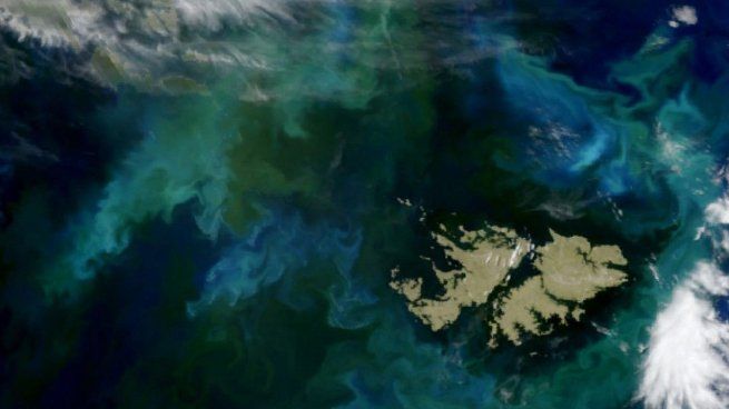 Qué es el proyecto Sea Lion que busca extraer petróleo de las Islas Malvinas