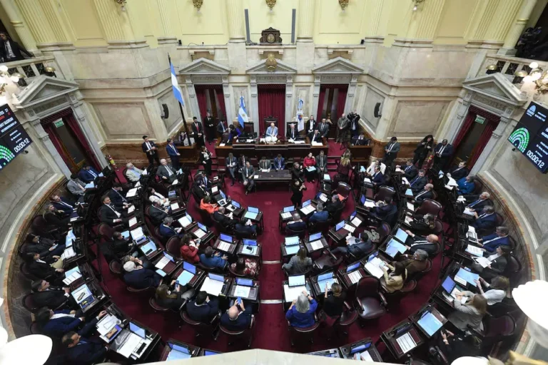 El Senado avanza con el debate del nuevo régimen para inversiones de hasta US$12 millones