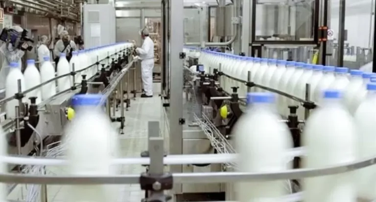 Golpe a la industria láctea: el gigante dueño de Milkaut e Ilolay cierra una histórica fábrica en Argentina