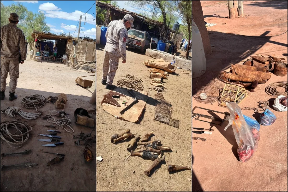 Golpe a la caza furtiva en Bermejo: cinco allanamientos, cuatro detenidos y un importante secuestro de armas y carne