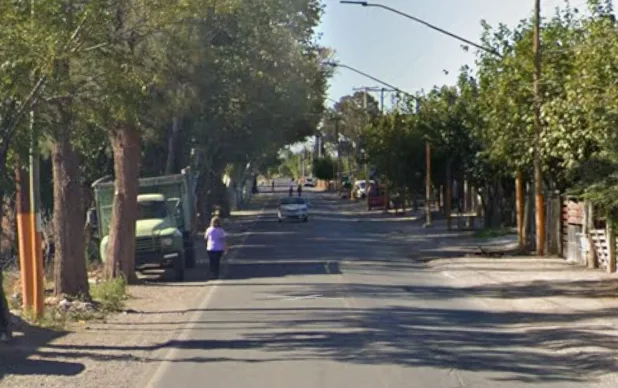 Denuncian a un criadero avícola por moscas y olores en Santa Lucía