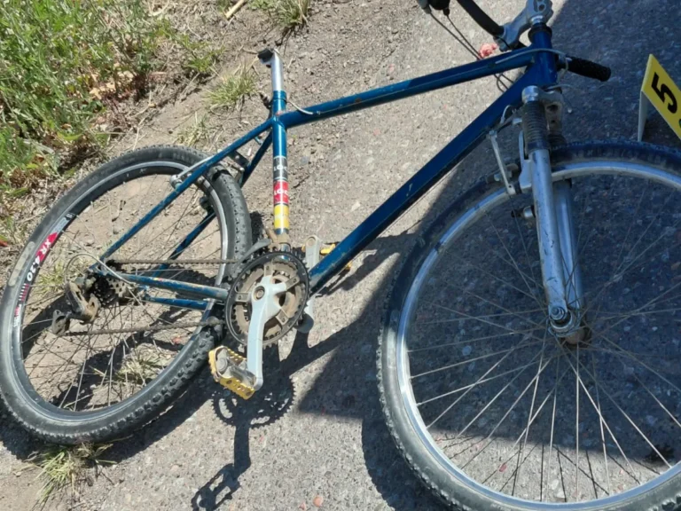 Un nene sanjuanino de 13 años falleció al ser embestido por un camión