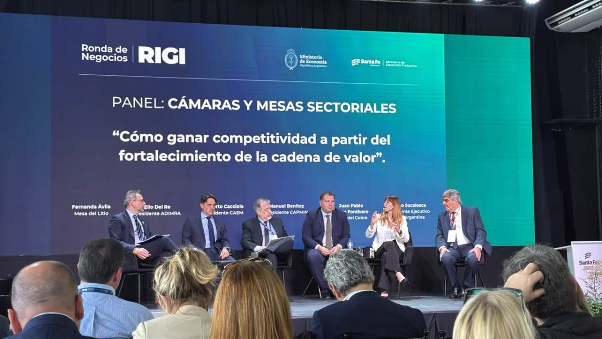 Rondas de Negocios RIGI: San Juan se posiciona como la provincia más atractiva para las inversiones mineras