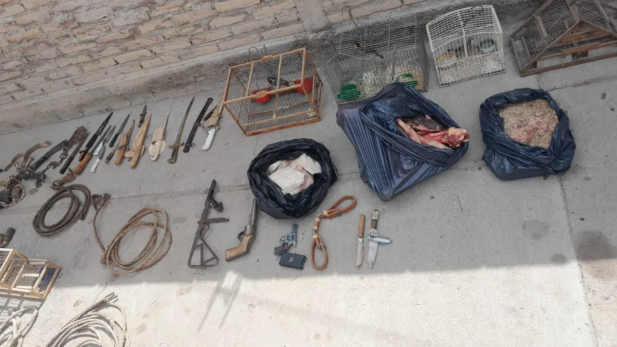 Allanamientos en Albardón: secuestraron carne de guanaco, aves silvestres y armas blancas