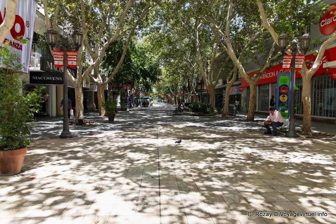 Feriado del lunes: cómo funcionarán comercios, bancos y colectivos en San Juan