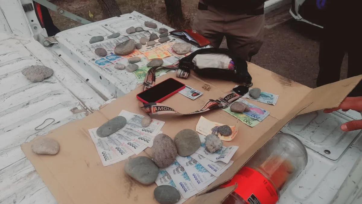 Intentaron robarle la billetera a un hombre y fueron detenidos tras una persecución