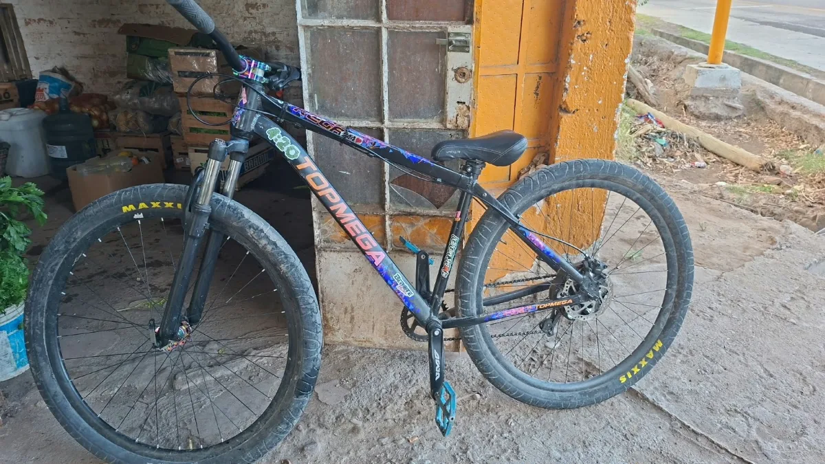 Intentaron robar una bicicleta en plena calle y dos adolescentes terminaron aprehendidos