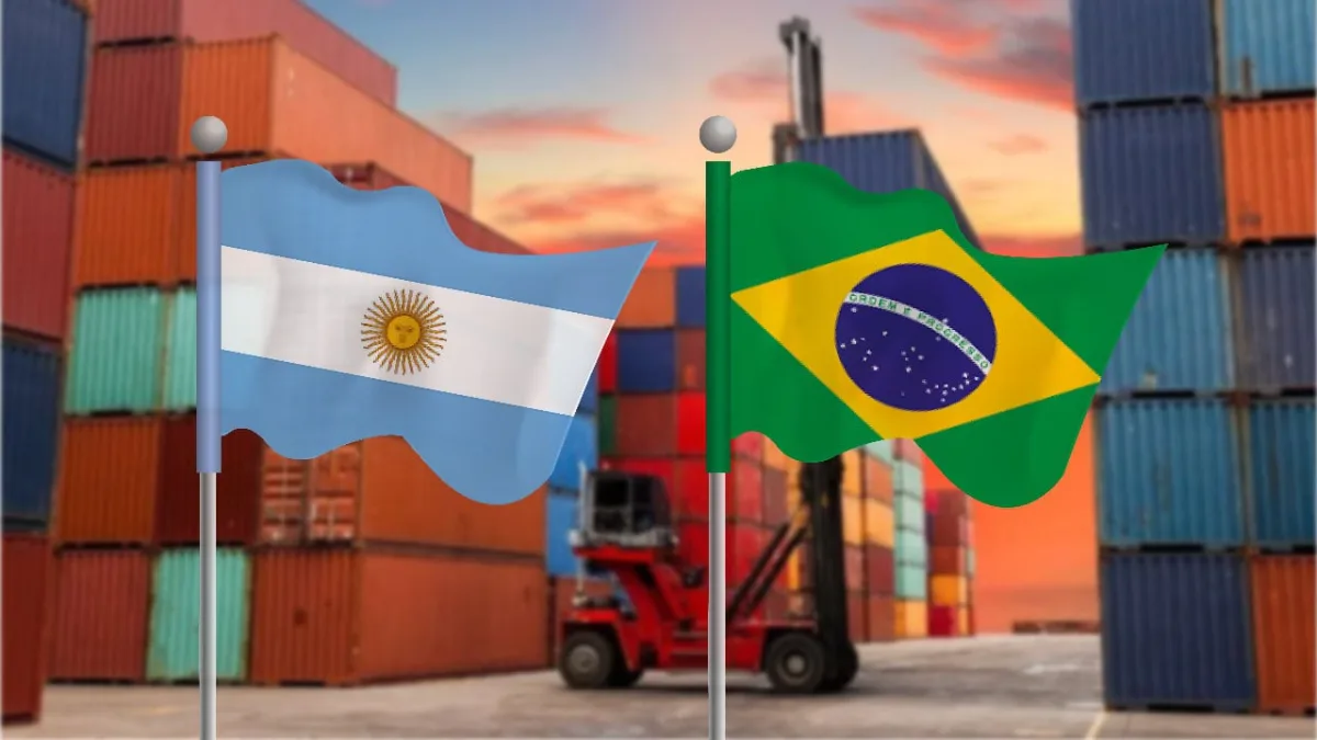 “Las relaciones comerciales van a seguir”: el Gobierno ratificó su intención de mantener el vínculo con Brasil